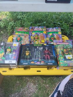 Teenage Mutant Ninja Turtle
