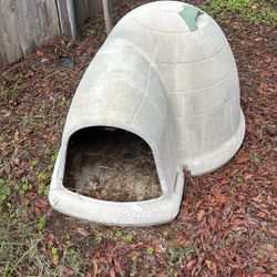 Dog House