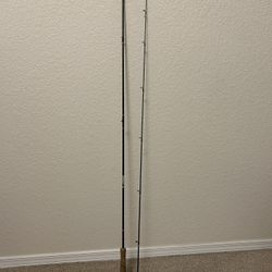 Fly Fishing Rod