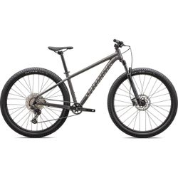 Rockhopper Expert 29" Mountain Bike (2024) - Black / Large
