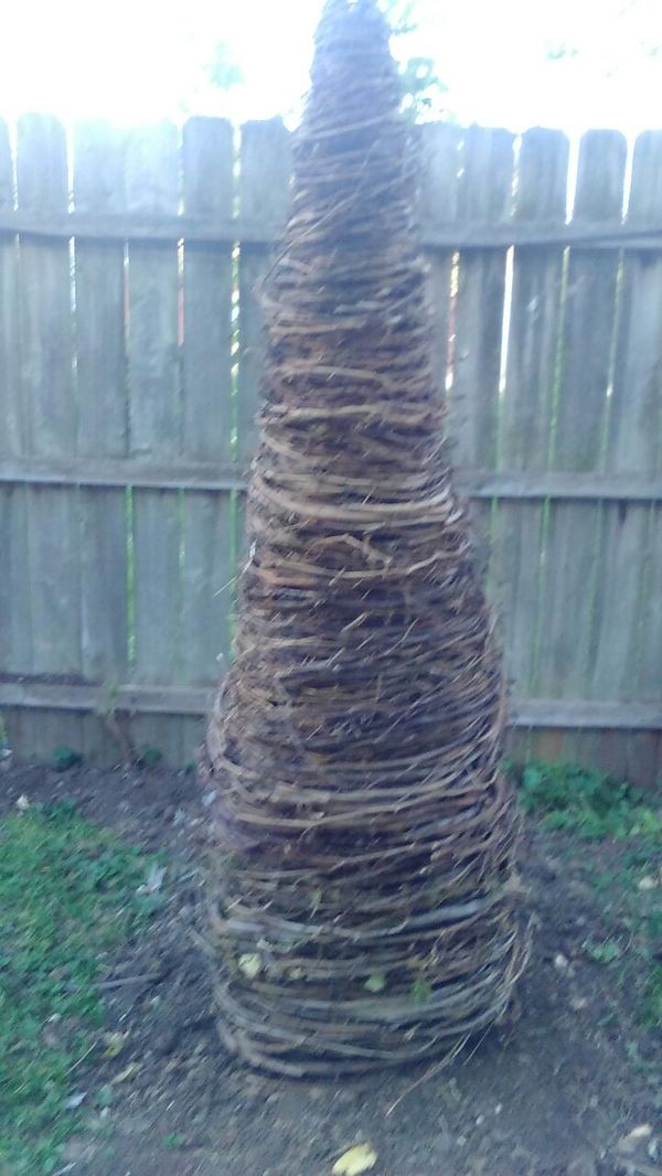 Grapevine tree for Sale in Dayton, OH OfferUp