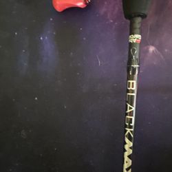 Fishing Rod And Reel