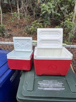 Coleman And Igloo Coolers 