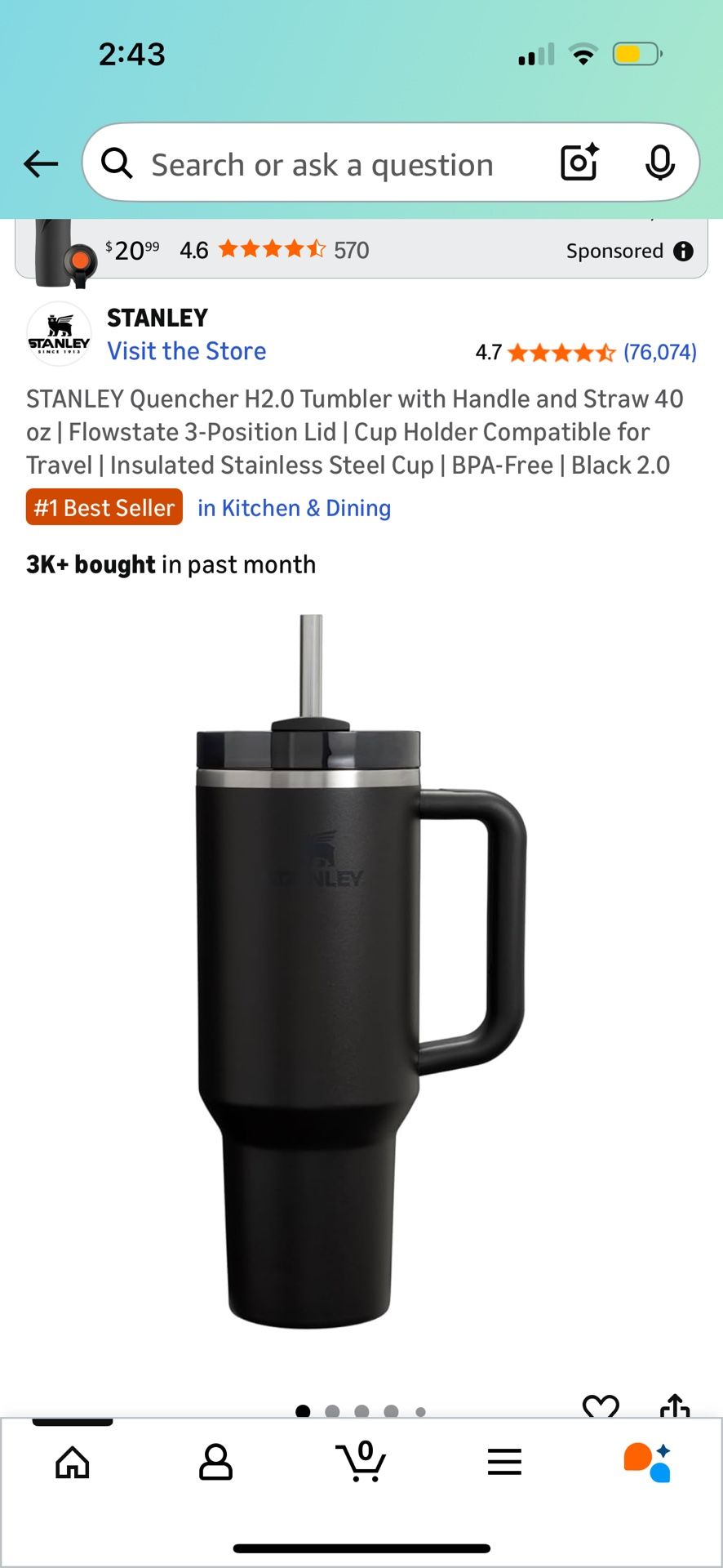 Brand New Black Stanley