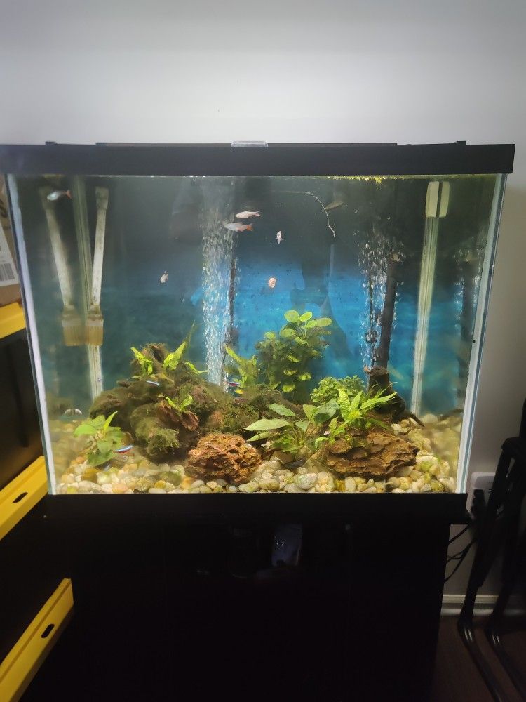 55 Gallons Aquarium