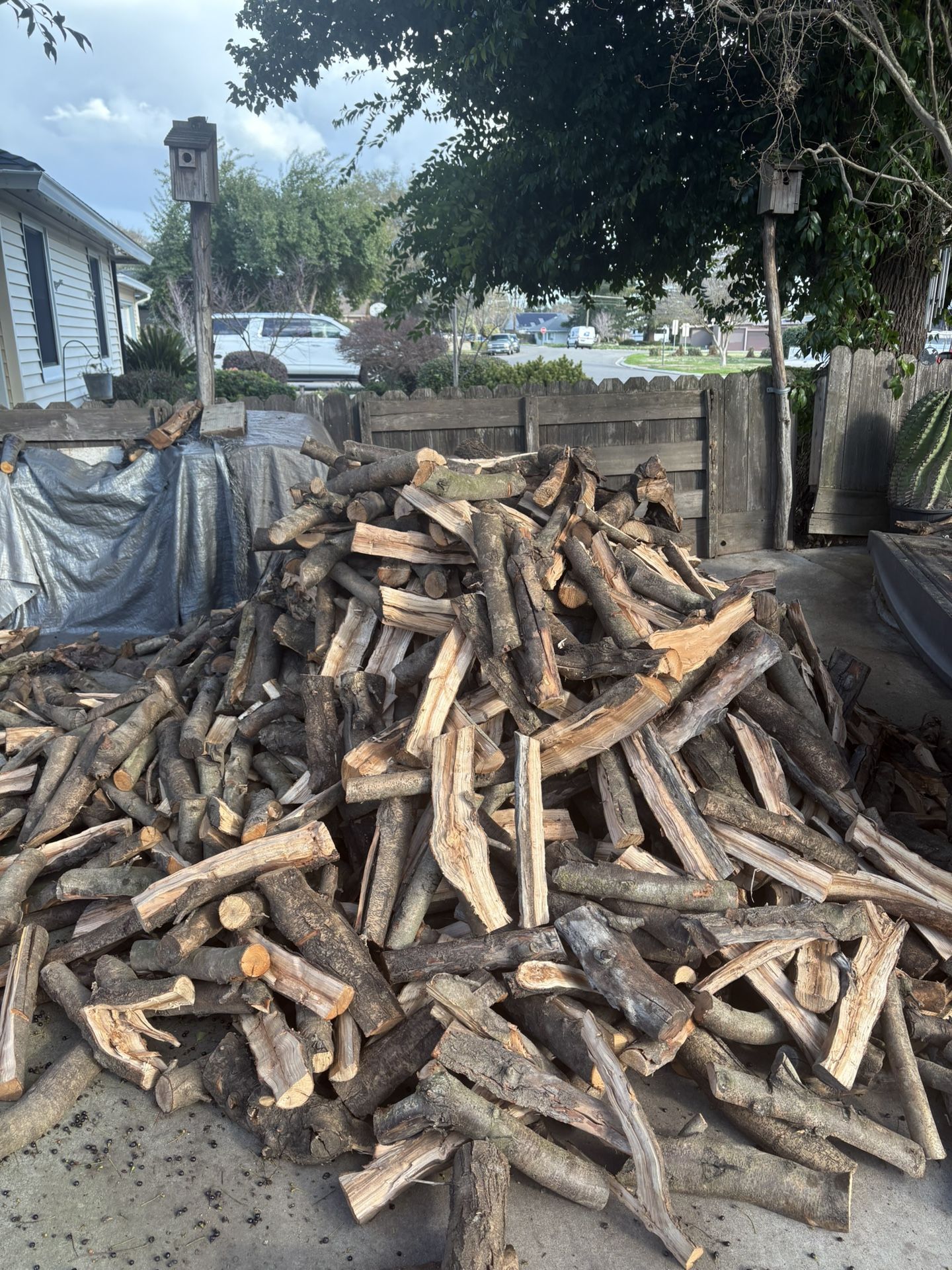 Almond Firewood