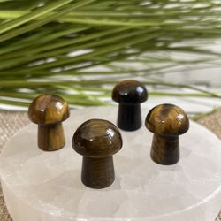 Mini Mushrooms Crystals 