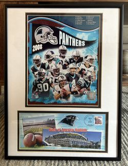 Carolina Panthers - 2008