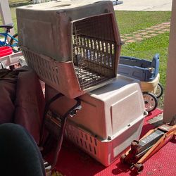 2 Animal Crate Large. 50 Dollars Each