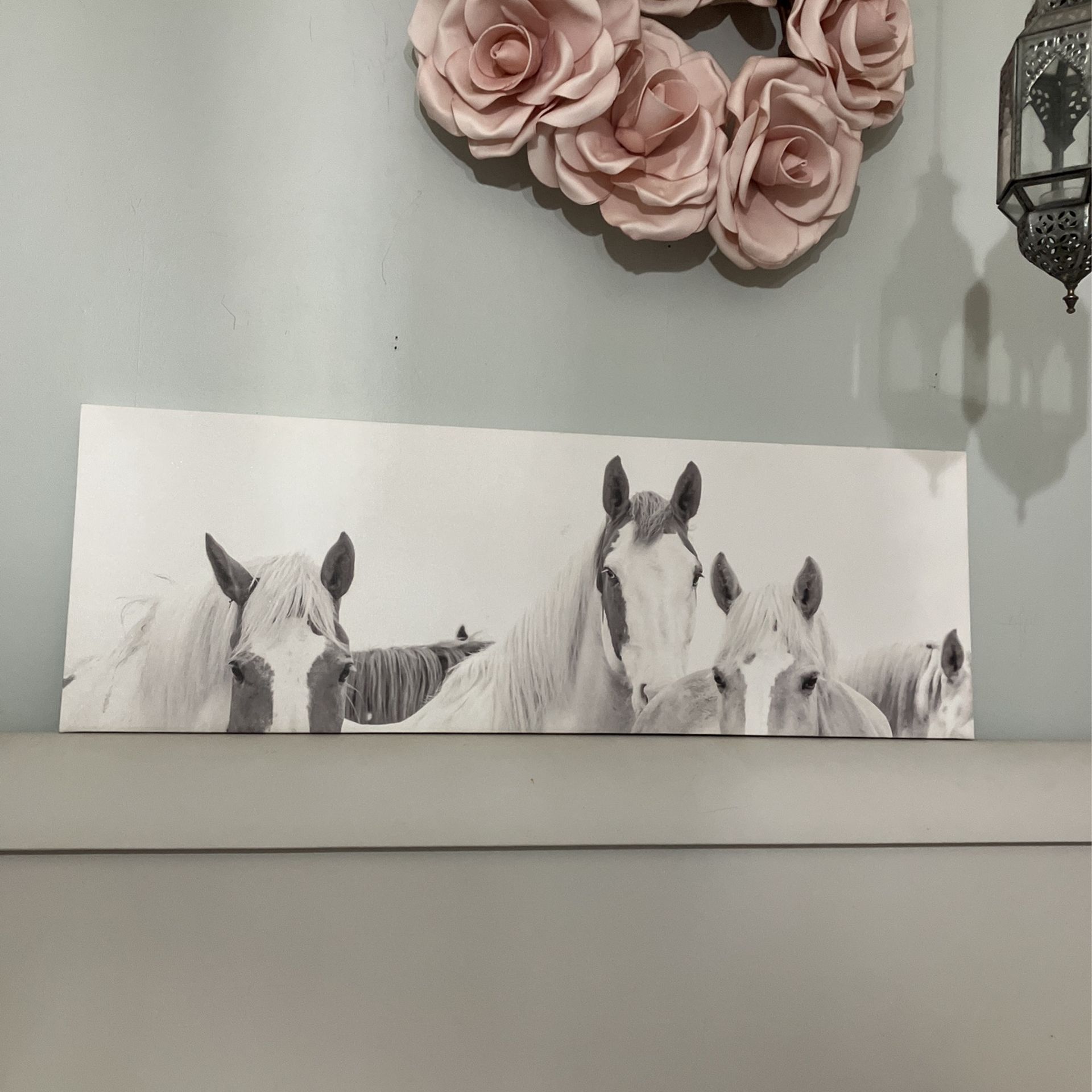 Large Long Horse Picture