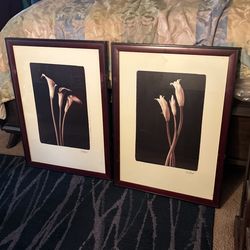 Set De Cuadros 30x 22 $ 20 El Set 