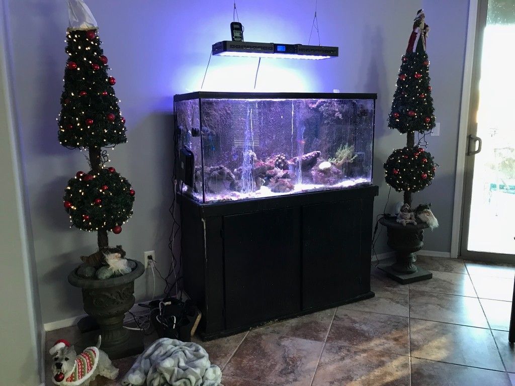 65 Gallon Fish Tank With 30lbs Of Live Rock And Sand