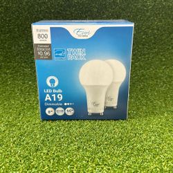 LED BULB A19 