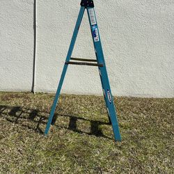 6' Werner Step Ladder