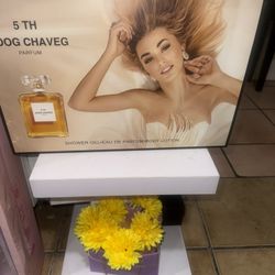 Para Sus Regalos De Cualquier Ocasión Festiva 