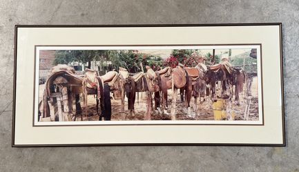 Saddles Art Photograph