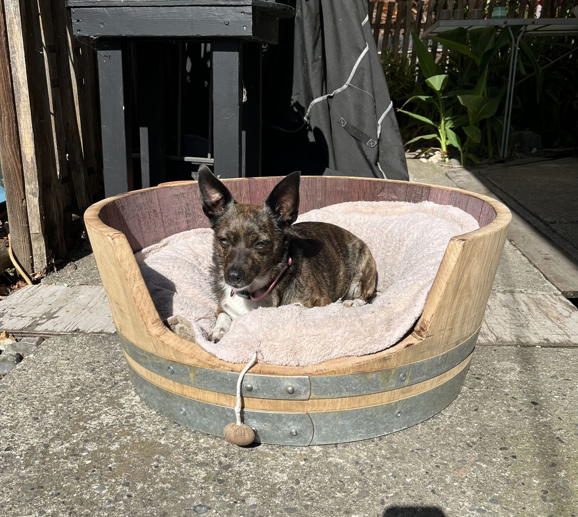 Small Dog/cat Wine Barrel Beds