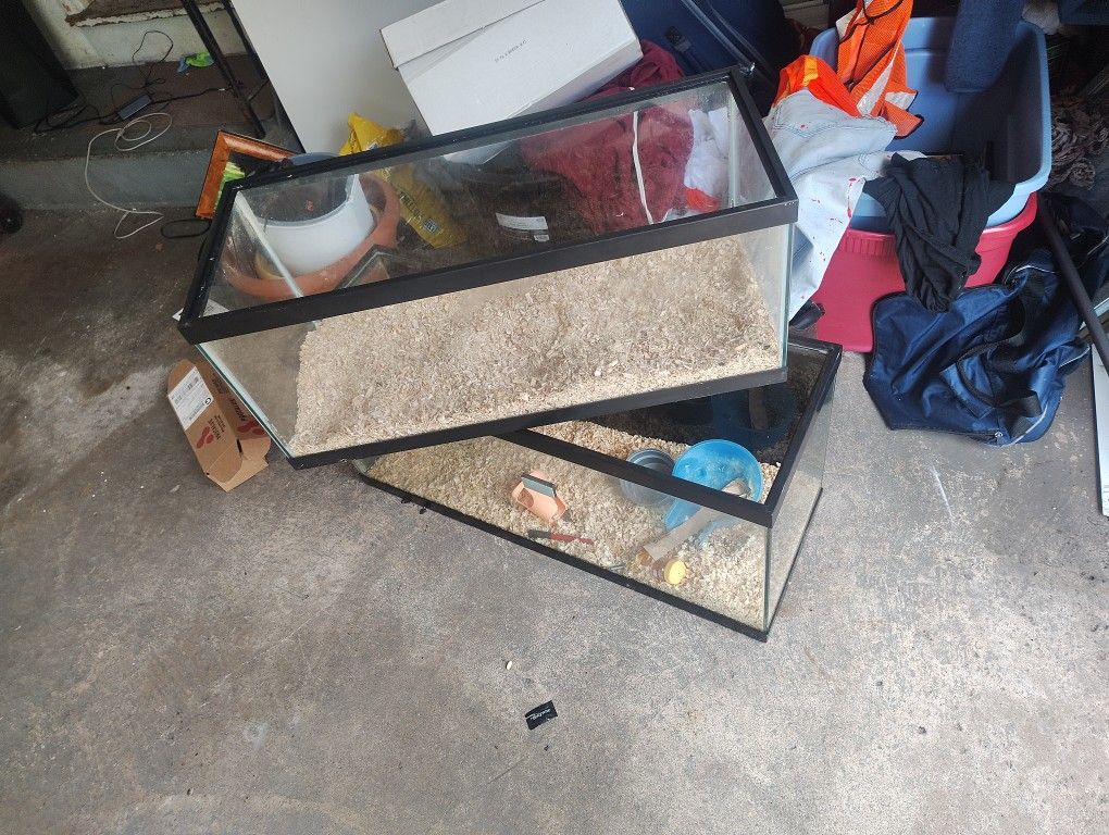 Fish Tank