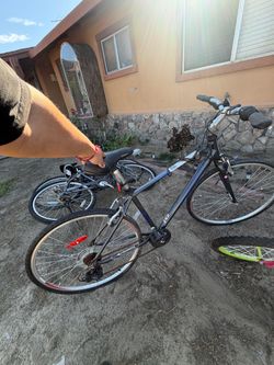Bikes for sell