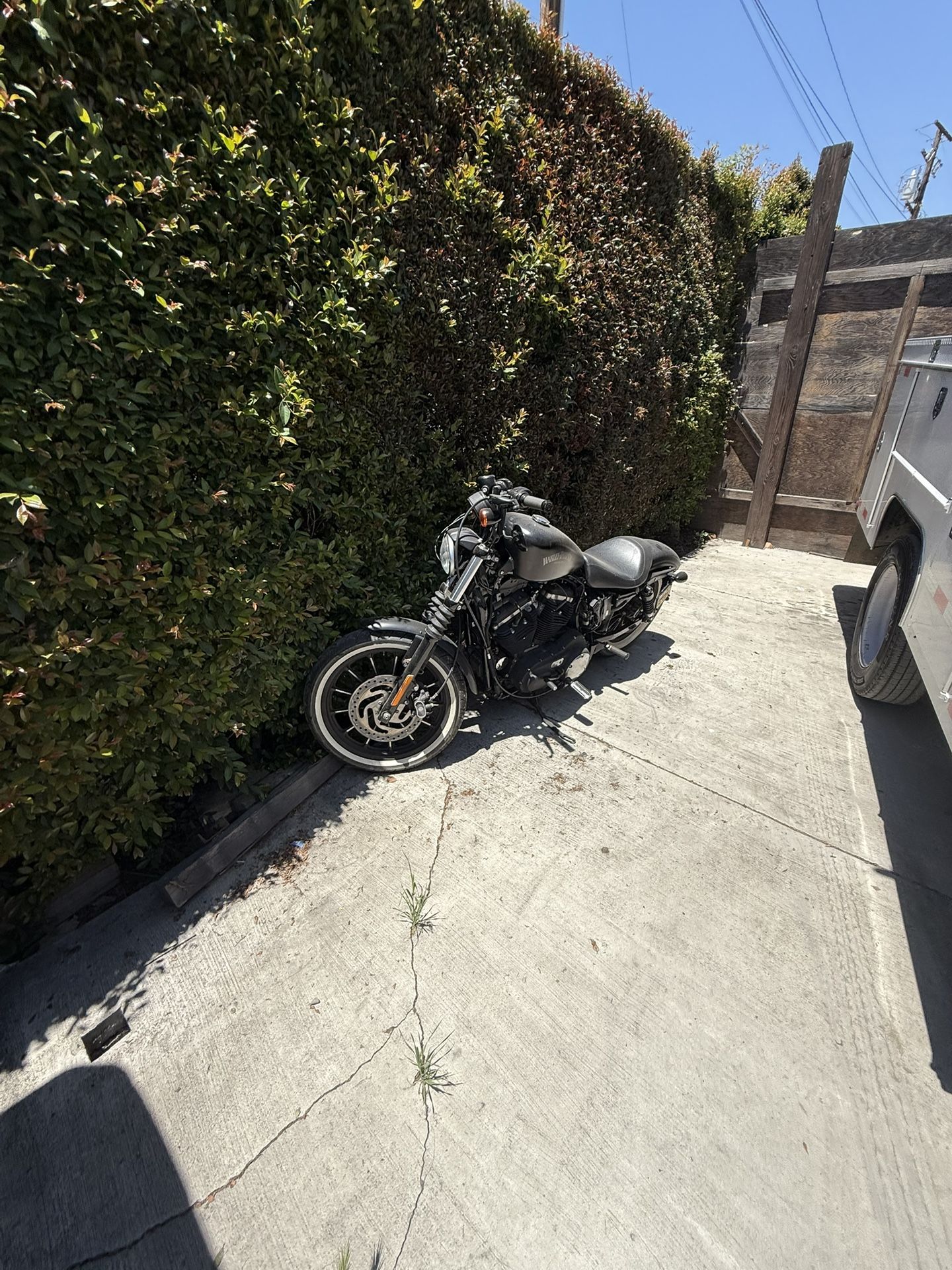 Harley Davidson