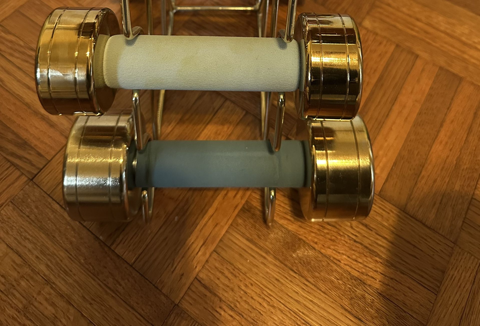 Blogilaties Dumbbells Set Of 2