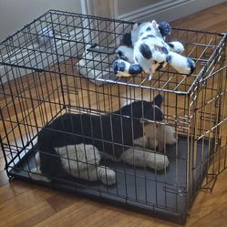Dog crate