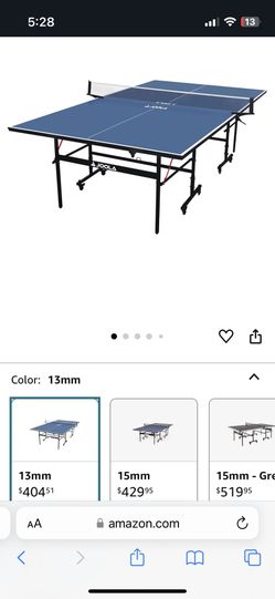 Professional Ping Pong (table tennis) table
