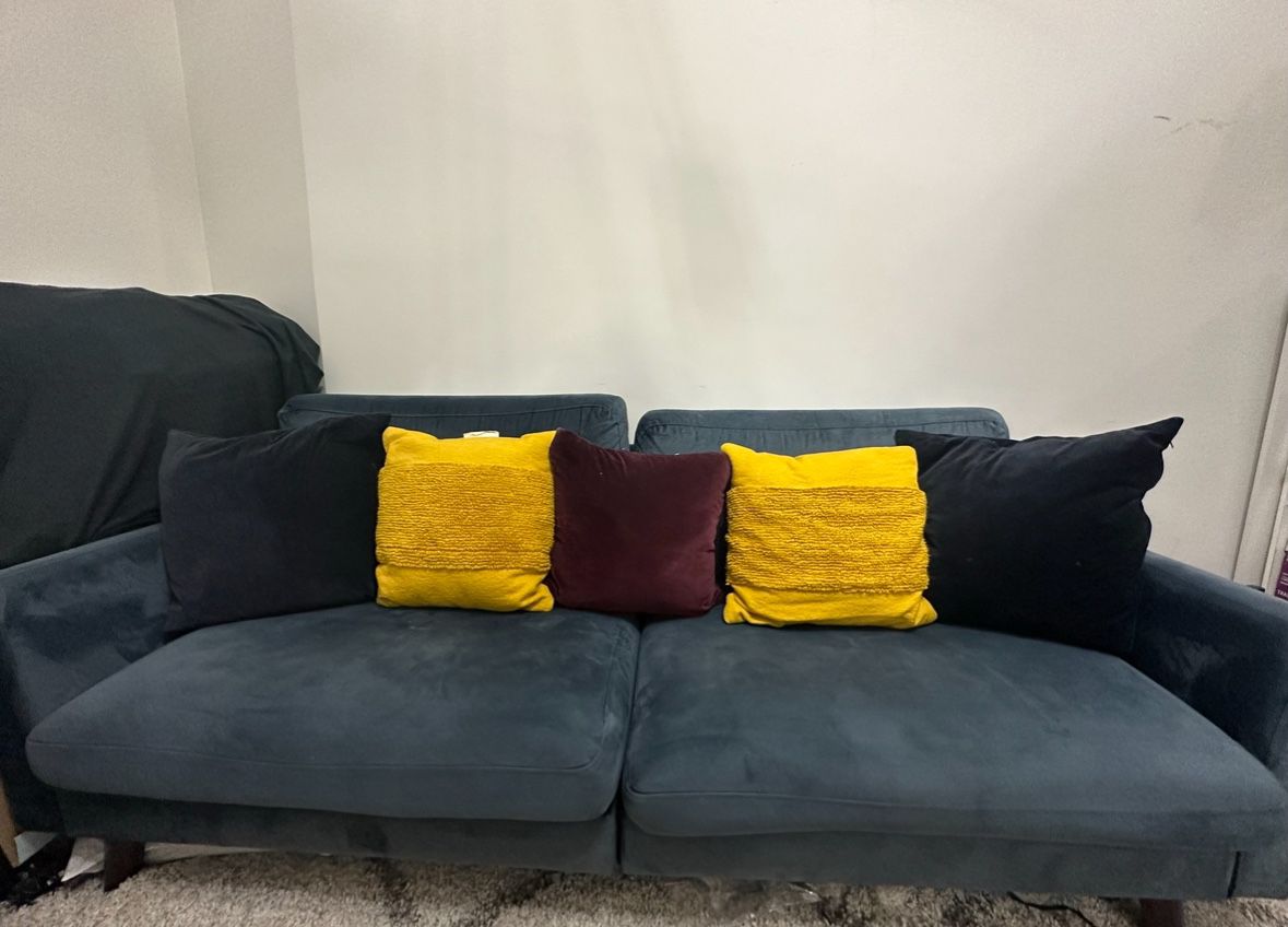 Velvet Futon couch