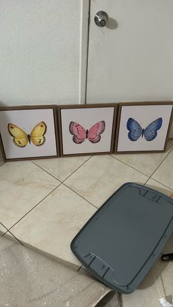 Set of 3 Butterfly Framed Wall Art Prints