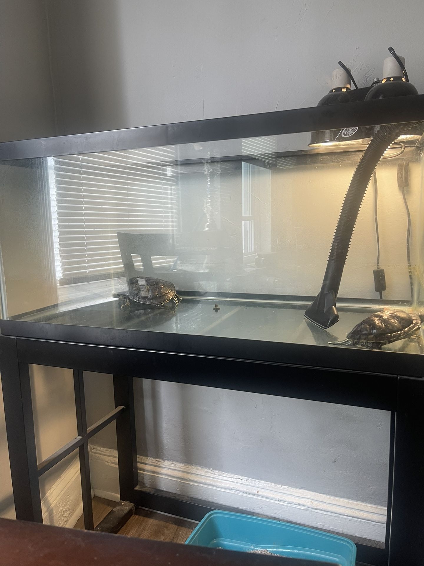 Turtle Tank+stand