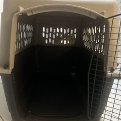 Dog Kennel
