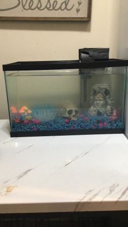 Fish tank