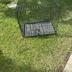 PET Crate