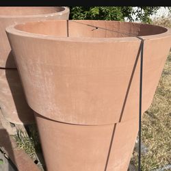 Tree Pots 