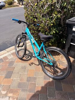 Trek Mountain Bike, Teal Blue, Small