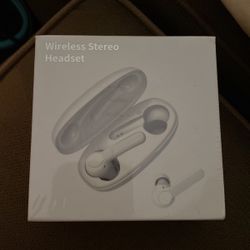Brand New Sealed Earbuds (White)