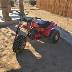 1981 Honda Atc 250r