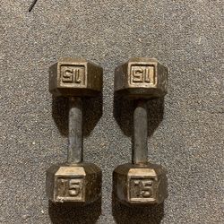 15 Lb Dumbells