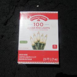 100 Clear Mini Lights