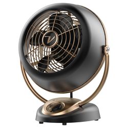 Fan 