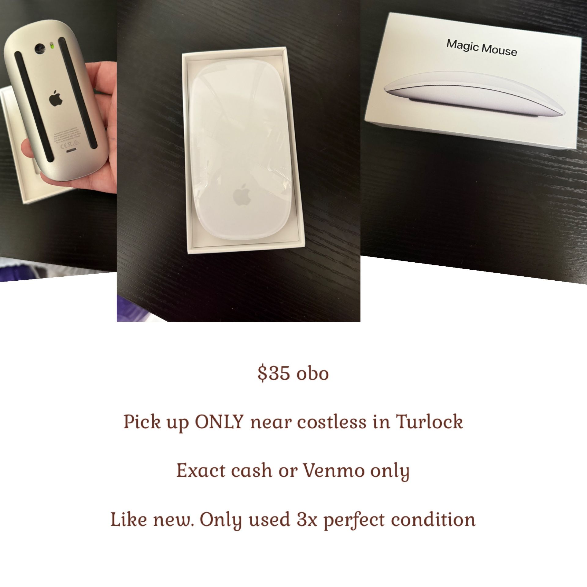 Magic Mouse 