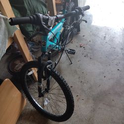 Petal Bike 🚲