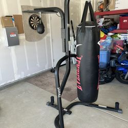Everlast Punching Bag