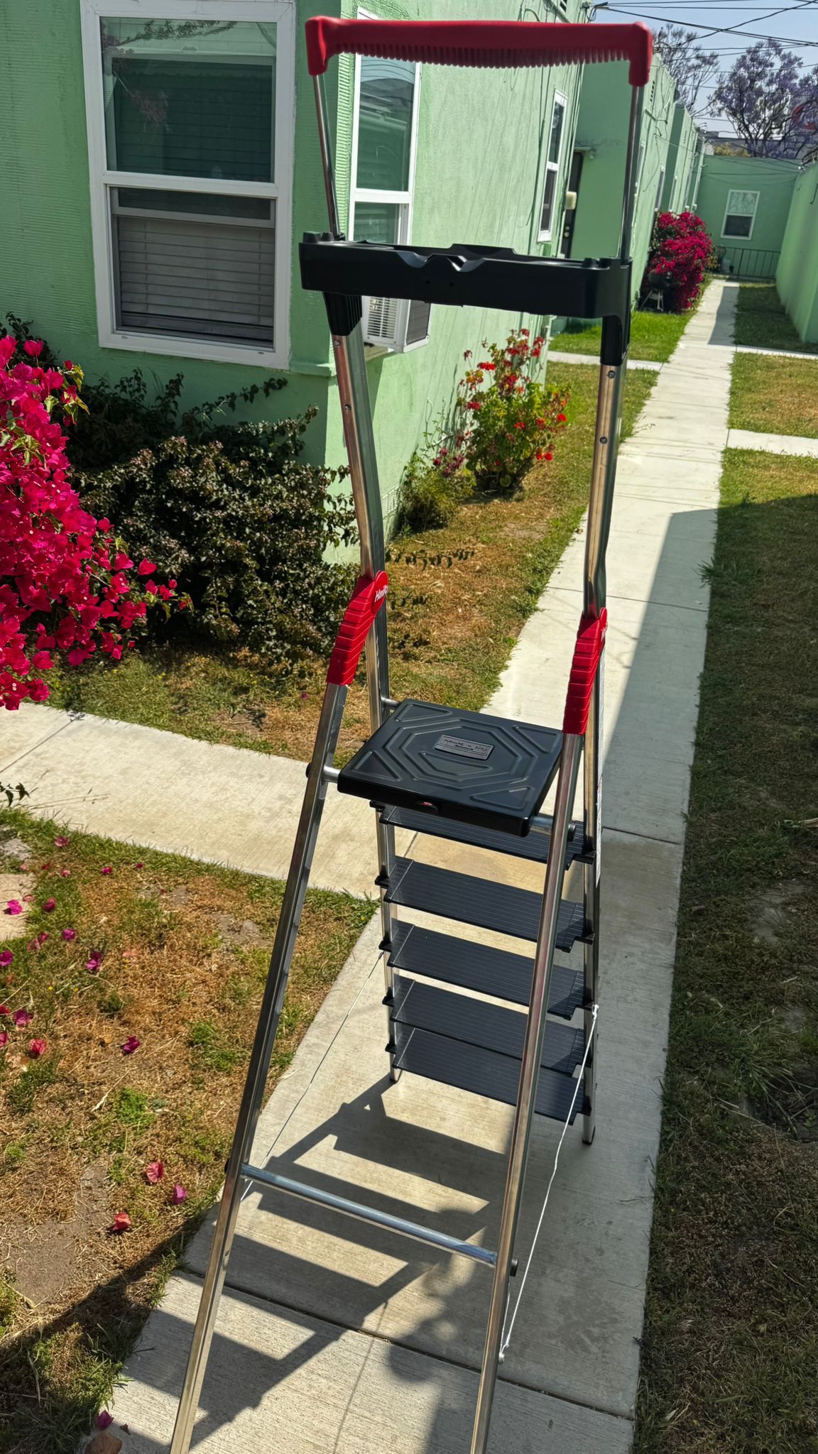 6 ft Ladder