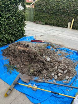 Junk Removal