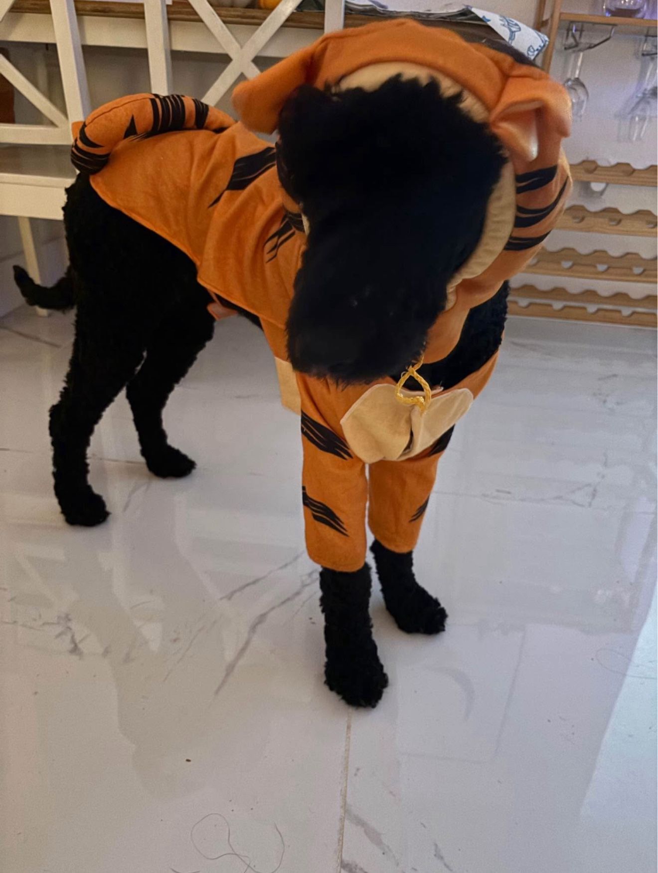 Dog Costume Size Large 