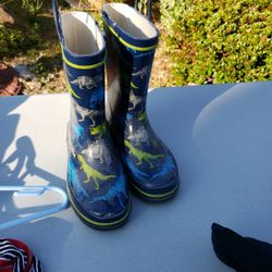 Size 3 Dinosaur Rain Boots