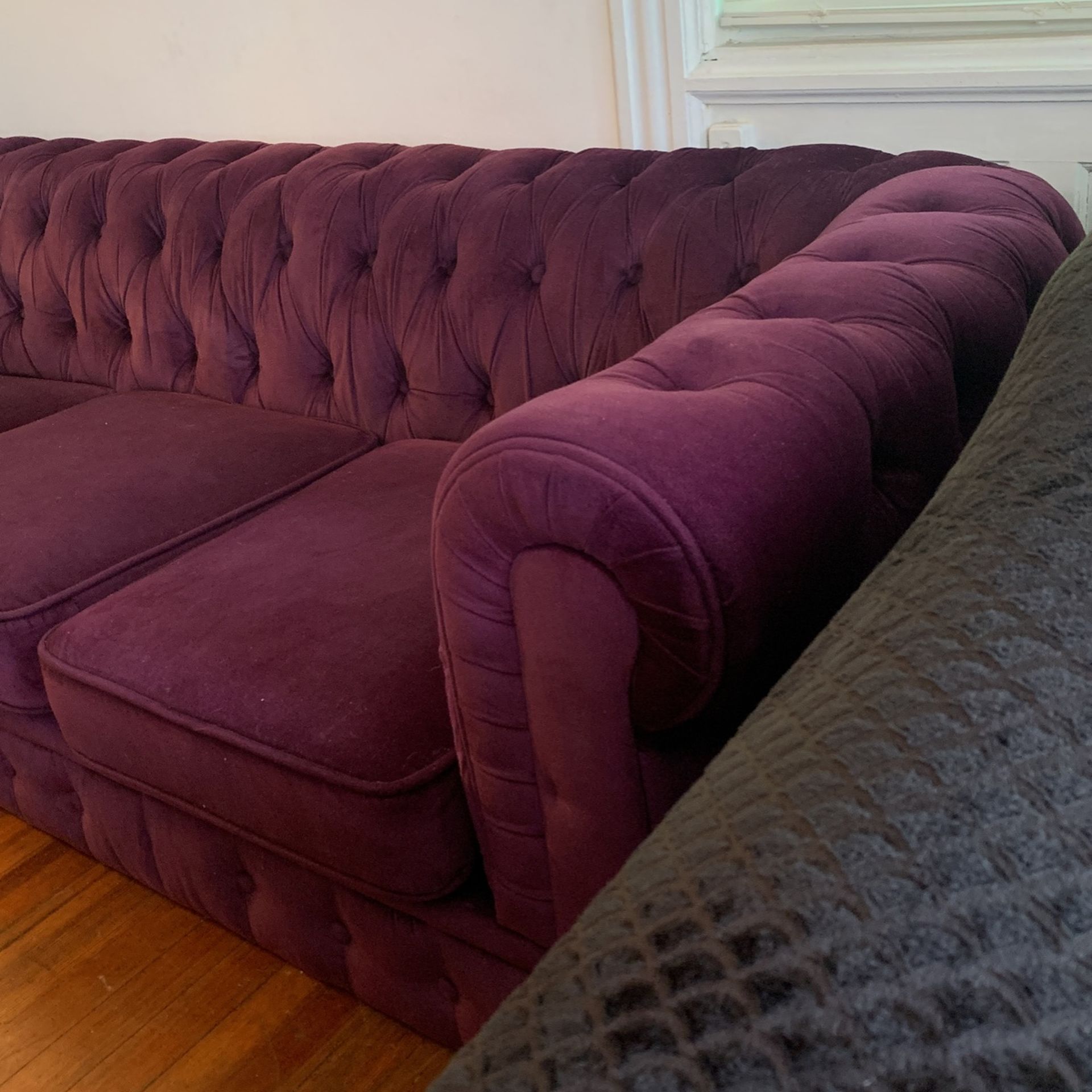 Purple Luxury Couch 