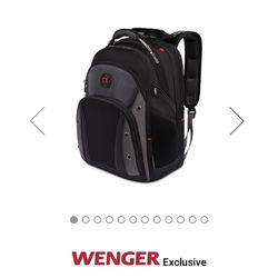 Swiss gear Synergy Pro backpack 