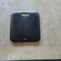 Taylor Weight Scale